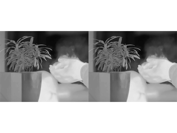 Application of Optical Gas Imaging