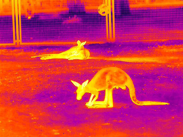 Principle & Application of Infrared Thermal Imaging Technology