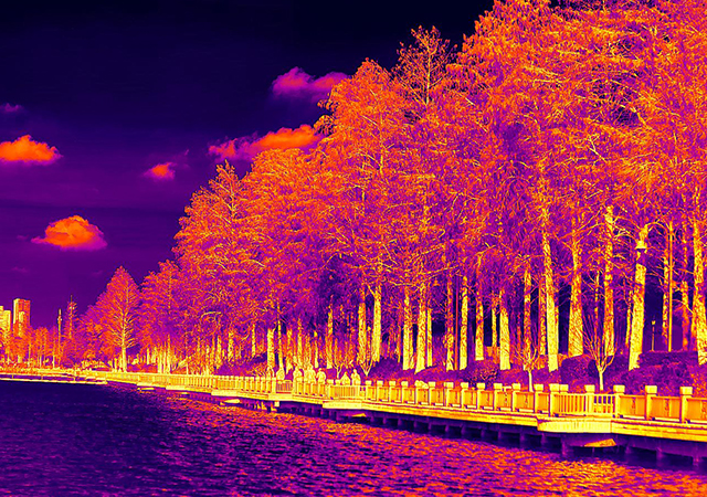 Thermal Image Vs. Visual Image