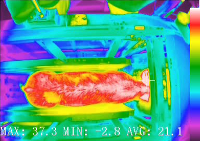 Role of Infrared Technology in Advancing Smart Breeding