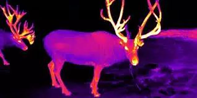 Fun with Infrared Thermal Imager in Outdoor Leisure