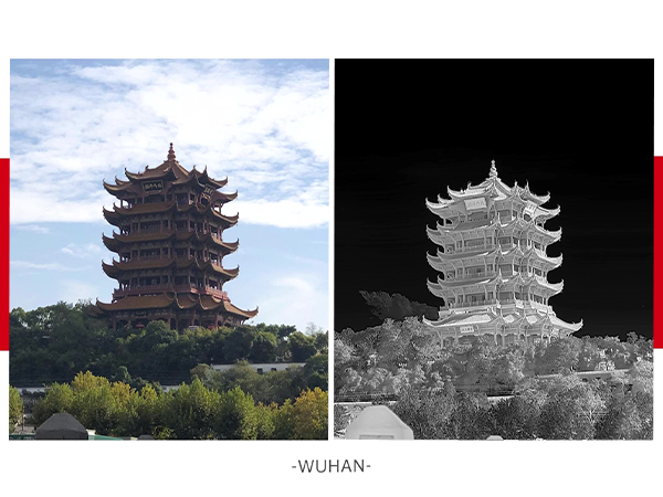 Visible Image Vs. Thermal Image - Wuhan Series